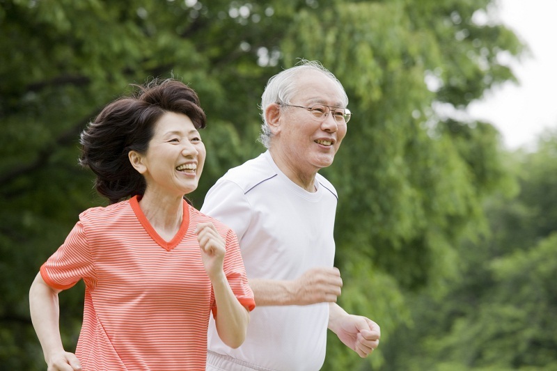 chiết xuất gừng kéo dài tuổi thọ khỏe mạnh