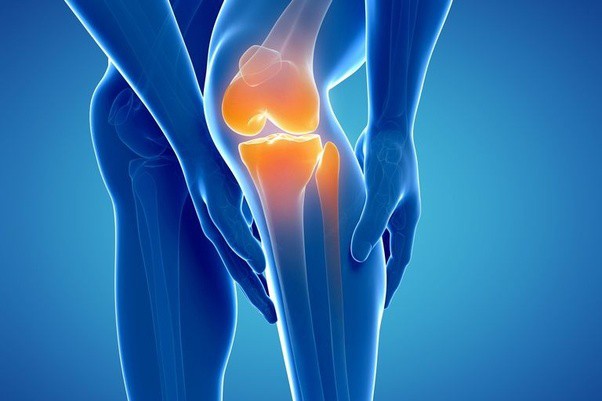 cải thiện sức khỏe xương khớp hiệu quả sau tuổi 50yduocthainguyen