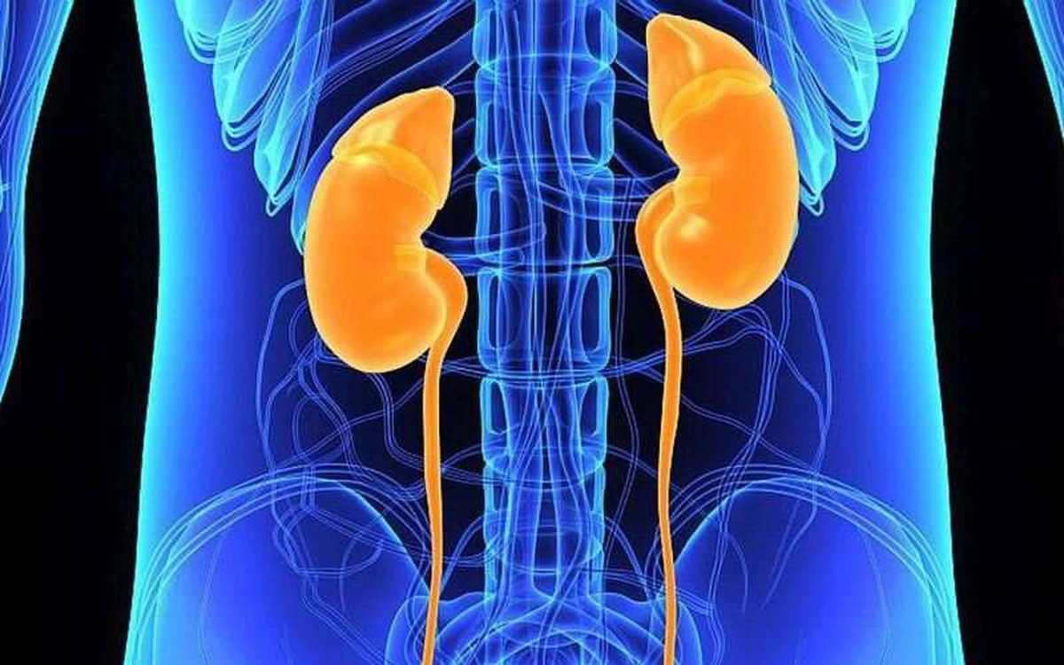 dấu hiệu điển hình của ung thư thận yduocthainguyen