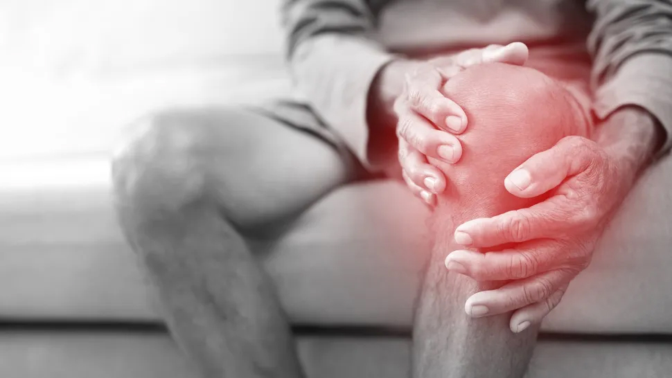 sức khỏe đầu gối yduocthainguyen.