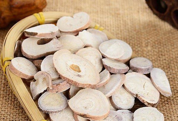 bạch thược bài thuốc chữa bệnh y duoc thai nguyen
