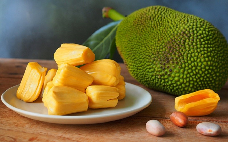 bài thuốc chữa bệnh từ cây mít y duoc thai nguyen