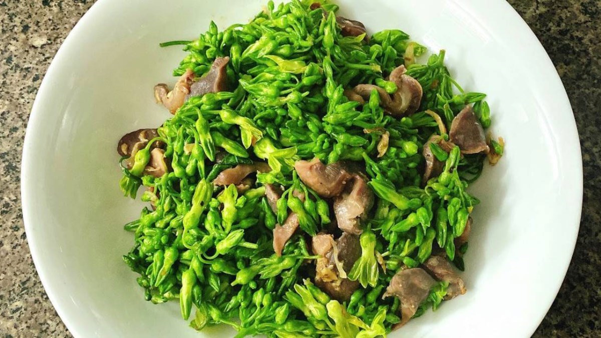 bài thuốc từ hoa thiên lý y duoc thai nguyen