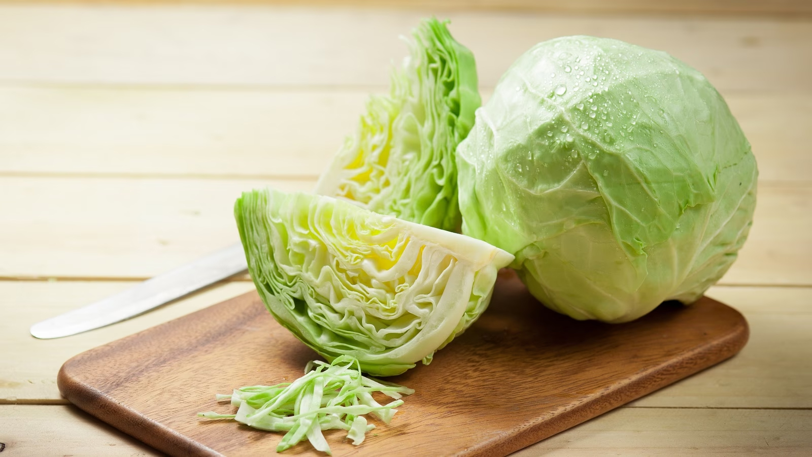 công dụng của bắp cải phòng loãng xương ung thư y duoc thai nguyen