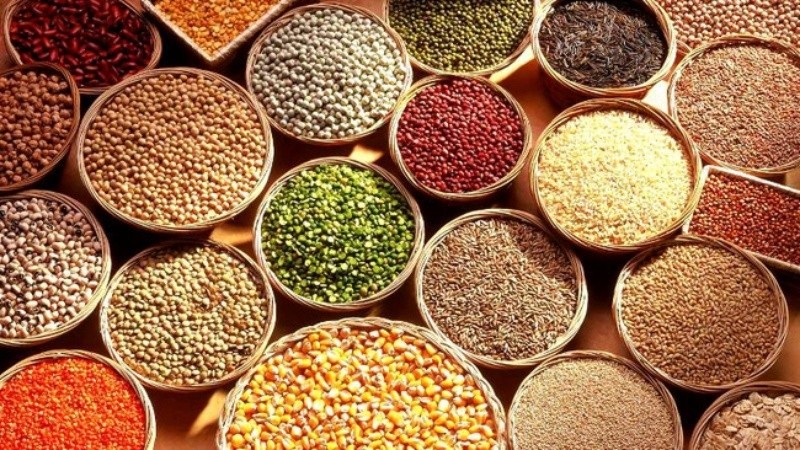 ăn đúng lương thực giảm một nửa nguy cơ ung thư y duoc thai nguyen