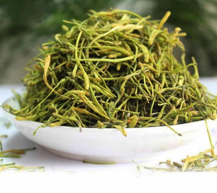 kim ngân hoa chữa mẩn ngứa mụn nhọt y duoc thai nguyen