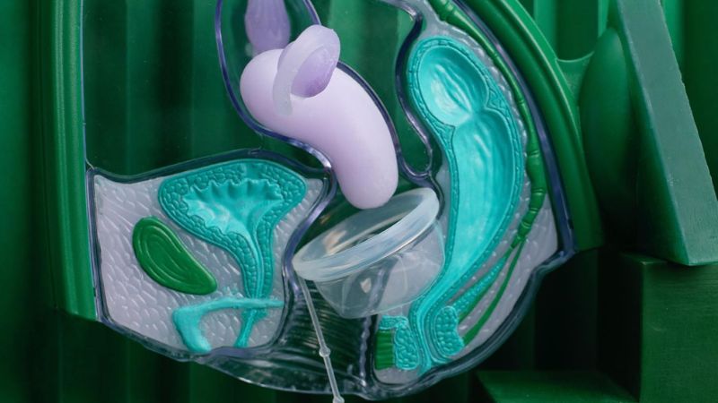 sử dụng cốc nguyệt san trong kỳ kinh nguyệt y duoc thai nguyen1