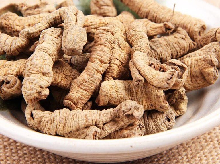 ba kích chữa bệnh xương khớp y duoc thai nguyen