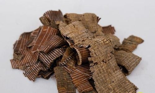 đỗ trọng chữa bệnh xương khớp y duoc thai nguyen