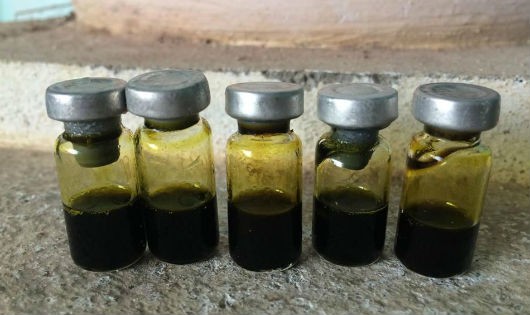 công dụng của mật gấu y duoc thai nguyen