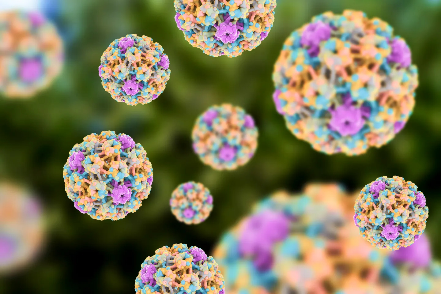 virus HPV làm tăng nguy cơ tim mạch y duoc thai nguyen