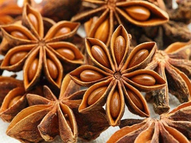 cây hồi chữa đau nhức, tê thấp y duoc thai nguyen
