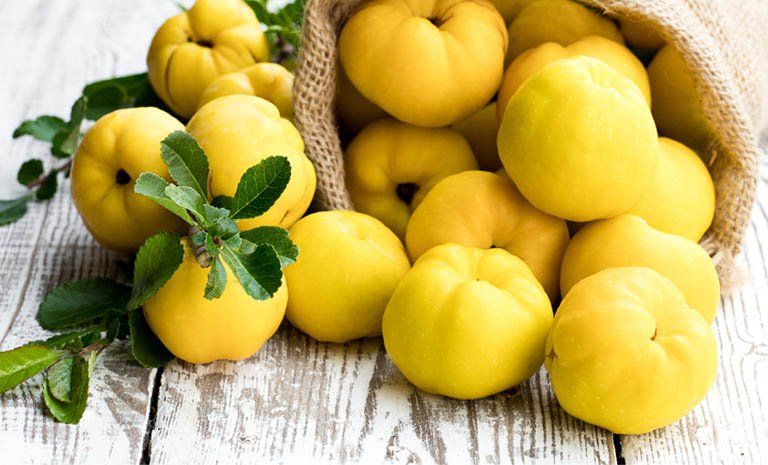 mộc qua chữa tê thấp y duoc thai nguyen