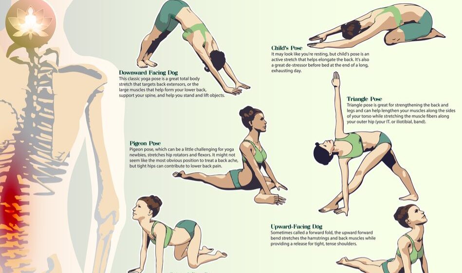 tư thế yoga giảm đau lưng y duoc thai nguyen