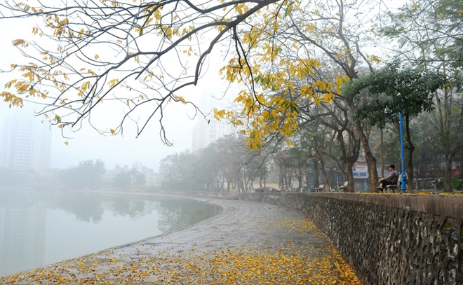 thực phẩm giảm viêm chống đau nhức xương khớp y duoc thai nguyen