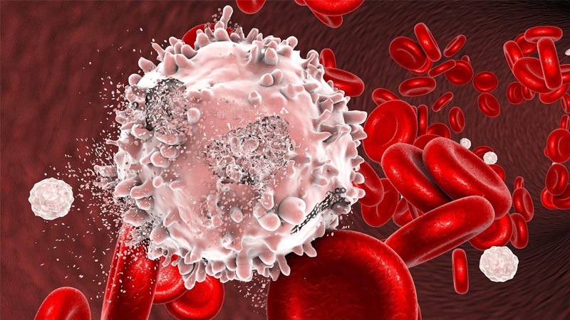 Ung thư máu myeloma y duoc thai nguyen