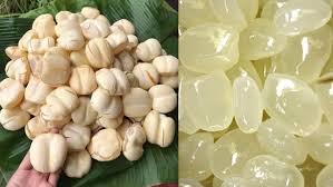 cây thốt nốt chữa bệnh y duoc thai nguyen