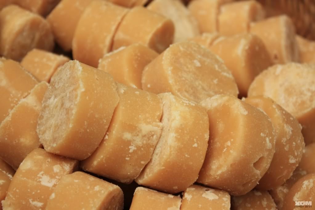 cây thốt nốt chữa bệnh y duoc thai nguyen