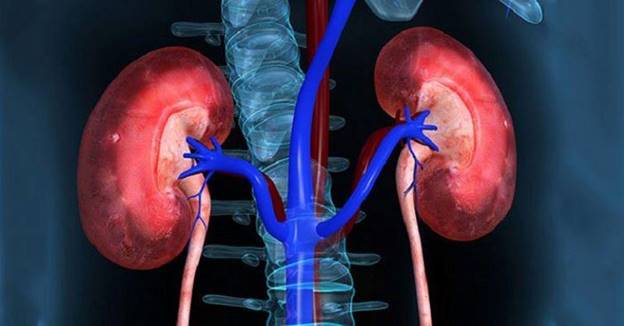 nguyên nhân axit uric cao y duoc thai nguyen