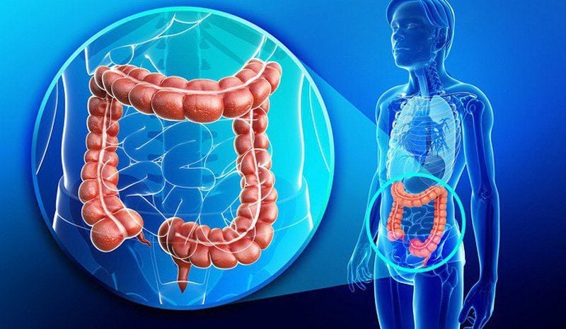 tập thể dục giảm nguy cơ ung thư đại trực tràng y duoc thai nguyen