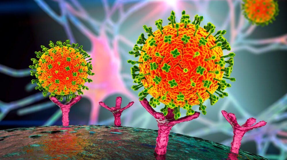 20 loại virus dơi "gây viêm não" mới được phát hiện ở Trung Quốc có nguy cơ lây lan sang người với tỷ lệ tử vong cao y duoc thai nguyen