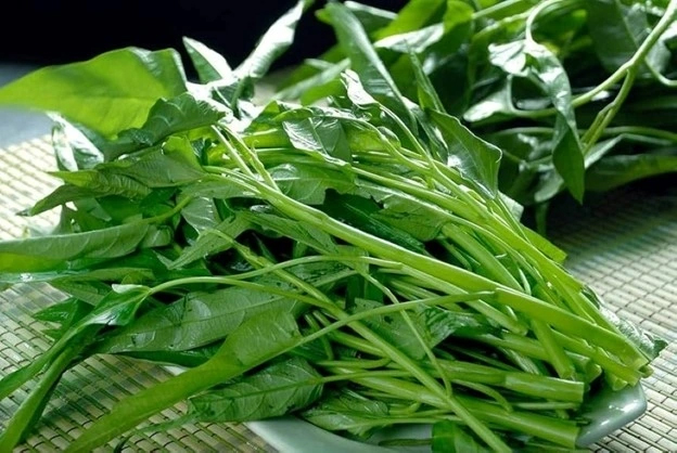 rau muống chữa bệnh y duoc thai nguyen