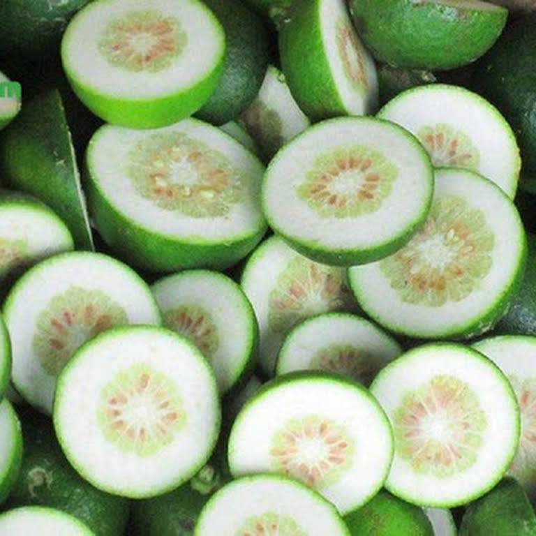 chỉ thực chỉ xác chữa bệnh y duoc thai nguyen