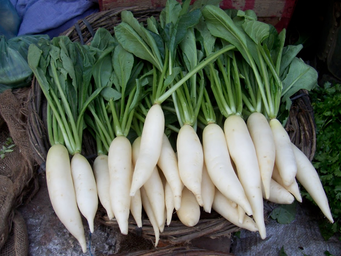 rau bổ phổi y duoc thai nguyen