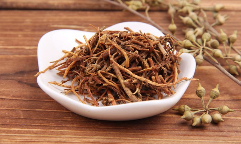 long đởm thảo chữa bệnh đường tiêu hóa y duoc thai nguyen
