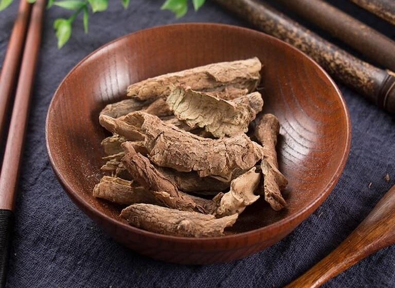 ngũ gia bì chưa đau xương đau lưng y duoc thai nguyen