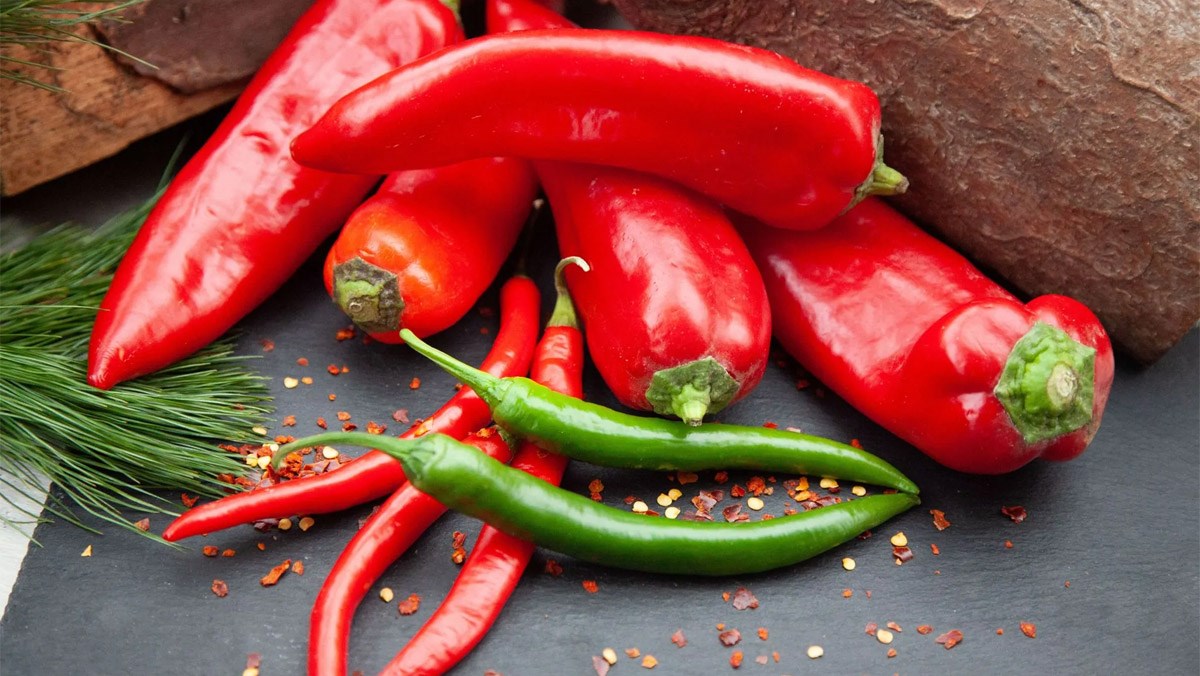 ăn ớt giảm đau chống ung thư y duoc thai nguyen