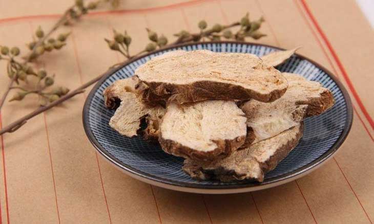 bạch truật kiện tì bổ khí an thai y duoc thai nguyen