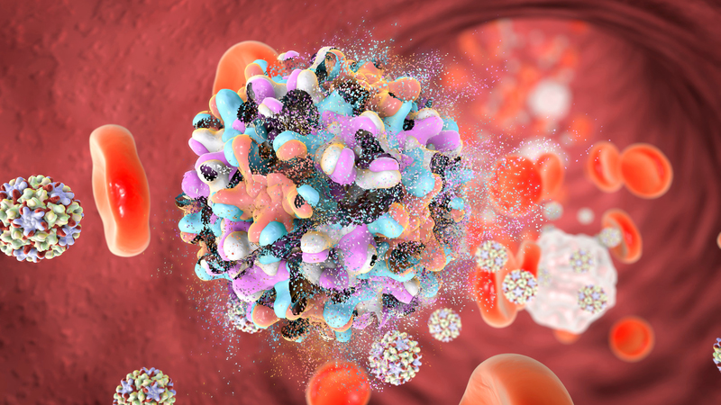 biến chủng cúm ở Mỹ y duoc thai nguyen