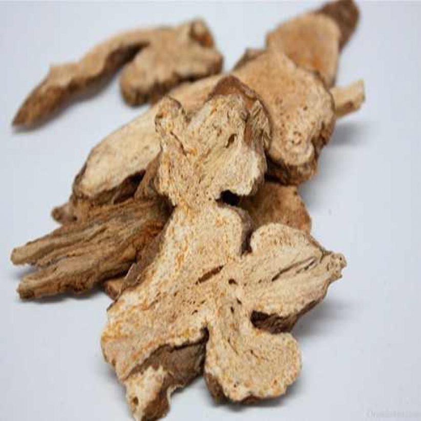 cây thương truật làm thuốc y duoc thai nguyen