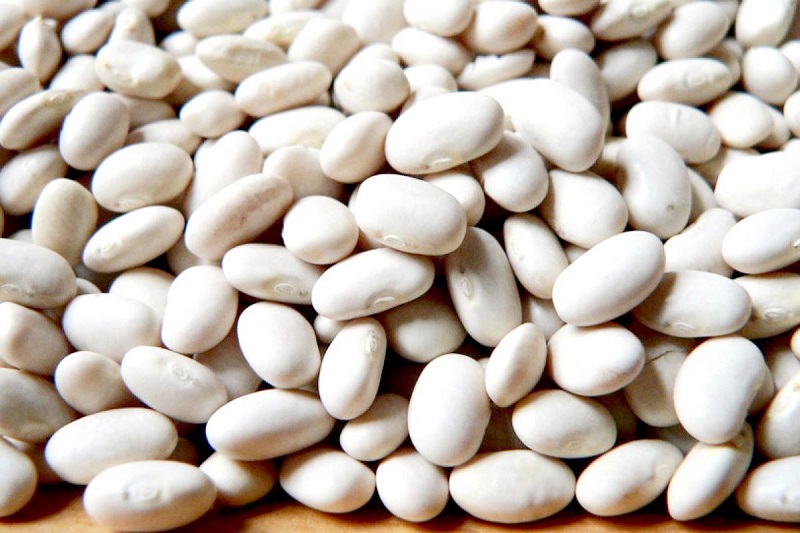 đậu ván trắng chữa khí hư phòng bệnh phụ khoa y duoc thai nguyen