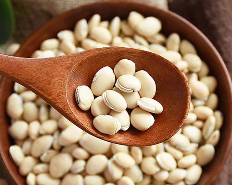 đậu ván trắng chữa khí hư phòng bệnh phụ khoa y duoc thai nguyen