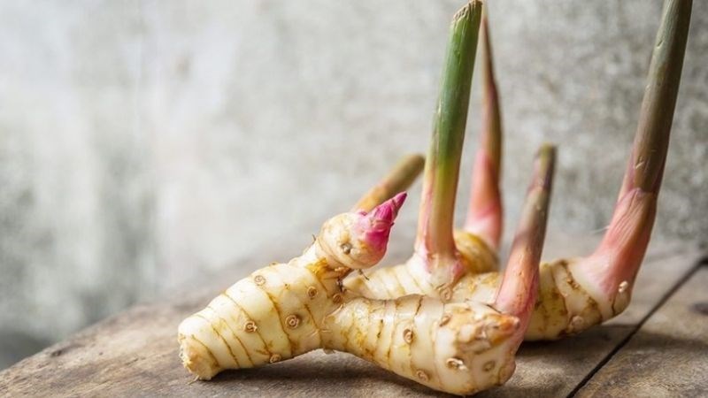 riềng chữa bệnh y duoc thai nguyen