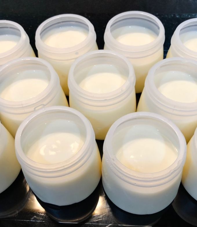 thời điểm ăn sữa chua để giảm cân khỏe ruột tốt xương khớp y duoc thai nguyen