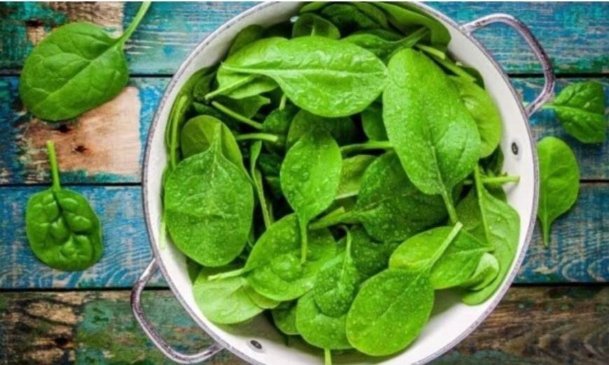 thực phẩm giàu collagen tự nhiên giúp da căng mịn xương khớp khỏe mạnh y duoc thai nguyen