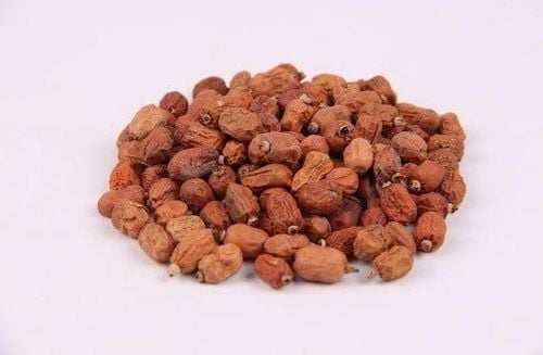 hồng đậu khấu chữa bệnh y duoc thai nguyen