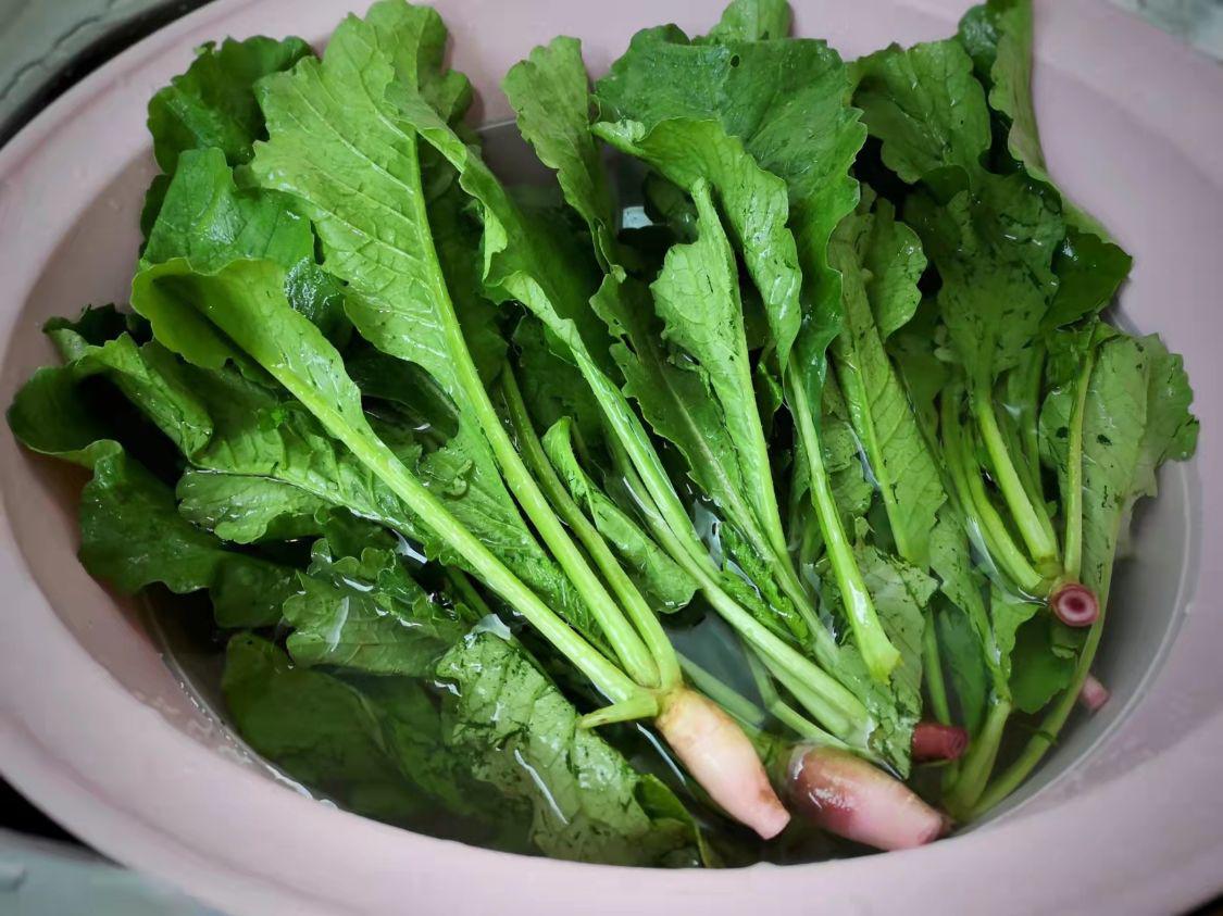 rau giàu canxi giúp xương chắc khỏe dưỡng gan y duoc thai nguyen