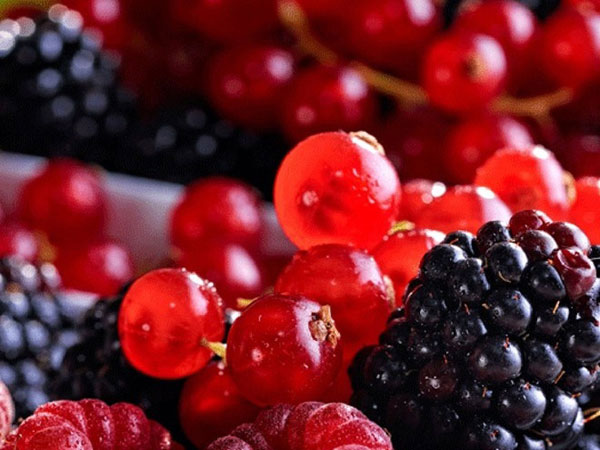 thực phẩm giảu đau viêm khớp y duoc thai nguyen