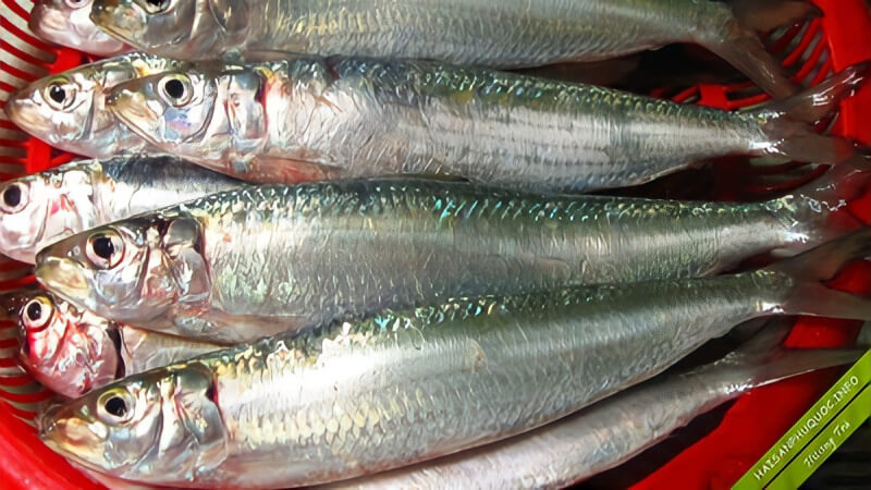 thực phẩm giàu vitamin D y duoc thai nguyen