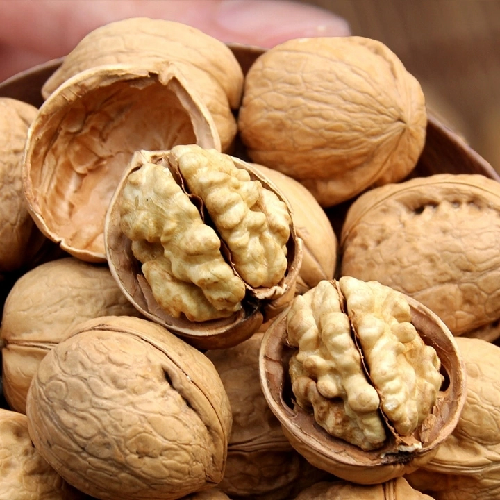 thực phẩm mùa đông bổ thận dưỡng gan y duoc thai nguyen