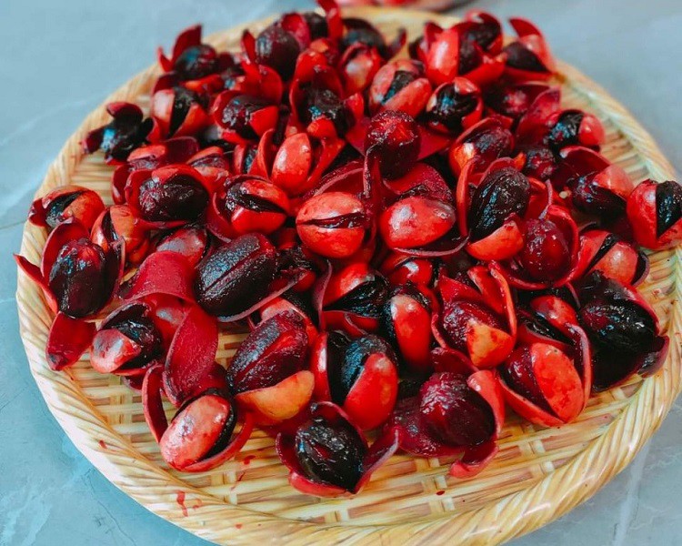 cây máu chó chữa bệnh ghẻ bệnh hủi y duoc thai nguyen