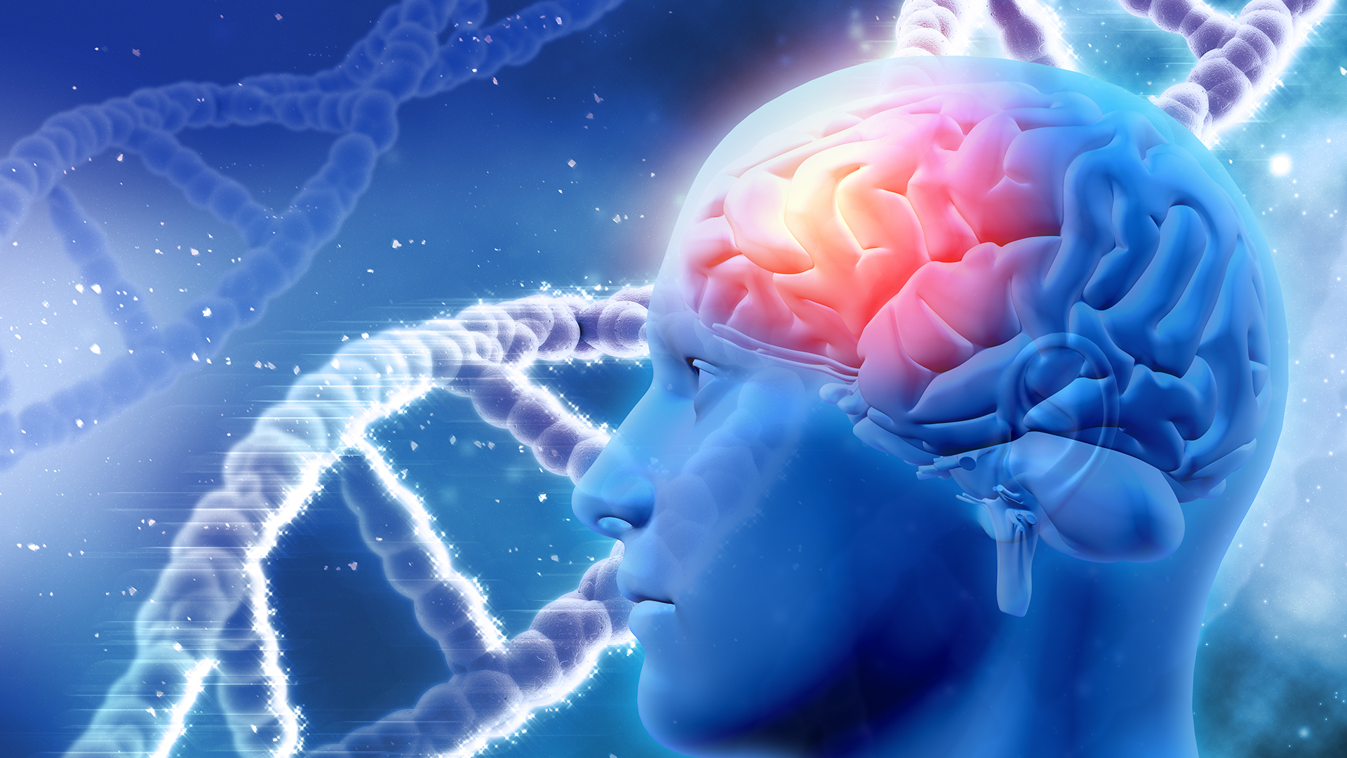 giúp não bộ trẻ trung y duoc thai nguyen