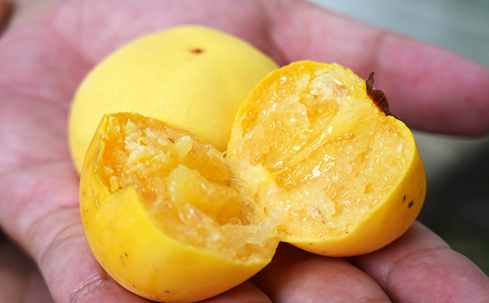 thị làm thuốc y duoc thai nguyen