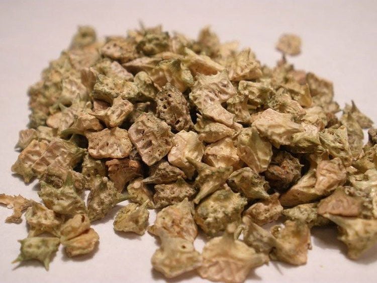 bạch tật lê chữa yếu sinh lý nam y duoc thai nguyen