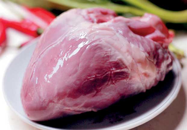 ăn tim lợn vào mùa xuân y duoc thai nguyen