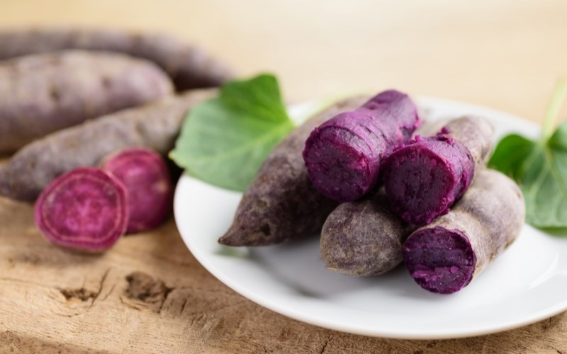 chất xơ giảm ung thư đại tràng y duoc thai nguyen